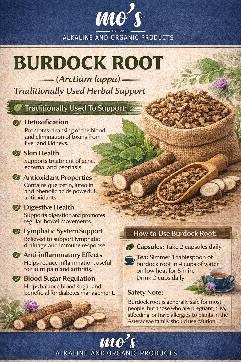 Burdock Root (100g)