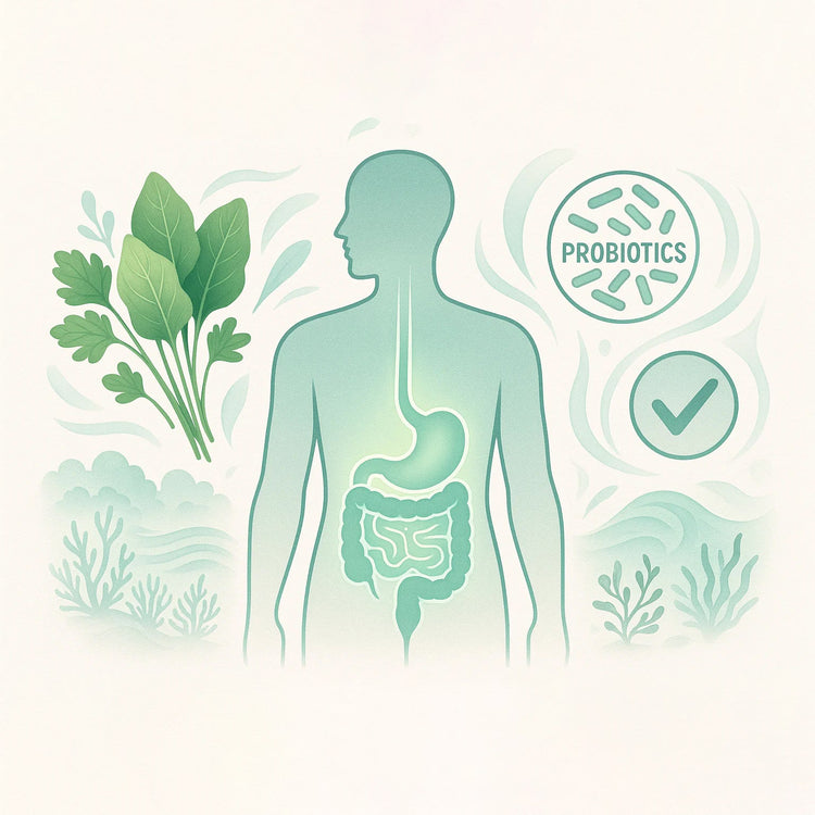 Digestive & Gut Health